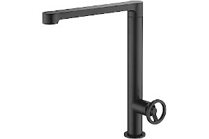 Grifo Fregadero Negro Mate 41tpEXwnjRL._AC_UL320_